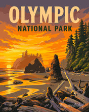 Carica l'immagine nel visualizzatore di Gallery, Dipingere con i numeri - Olympic National Park - Washington Figured'Art