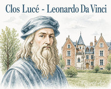 Carica l'immagine nel visualizzatore di Gallery, Dipingere con i numeri - Clos Lucé, casa di Leonardo da Vinci Figured'Art