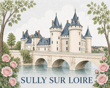 Carica l'immagine nel visualizzatore di Gallery, Dipingere con i numeri - Castello di Sully-sur-Loire Figured'Art