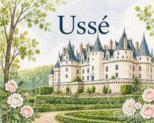 Carica l'immagine nel visualizzatore di Gallery, Dipingere con i numeri - Castello di Ussé Figured'Art
