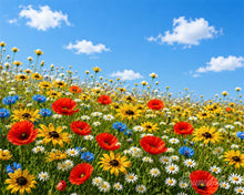 Carica l'immagine nel visualizzatore di Gallery, Dipingere con i numeri - Prato di Fiori Selvatici Figured'Art
