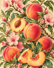 Carica l'immagine nel visualizzatore di Gallery, Dipingere con i numeri - Pesche Vellutate Figured'Art