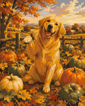 Carica l'immagine nel visualizzatore di Gallery, Dipingere con i numeri - Golden Retriever nel Campo di Zucche Figured'Art