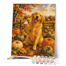 Carica l'immagine nel visualizzatore di Gallery, Dipingere con i numeri - Golden Retriever nel Campo di Zucche