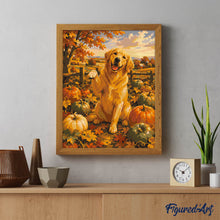 Carica l'immagine nel visualizzatore di Gallery, Dipingere con i numeri - Golden Retriever nel Campo di Zucche