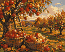Carica l'immagine nel visualizzatore di Gallery, Dipingere con i numeri - Raccolta nel Frutteto di Mele Figured'Art