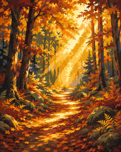 Carica l'immagine nel visualizzatore di Gallery, Dipingere con i numeri - Sentiero nel Bosco con Raggi di Sole Figured'Art