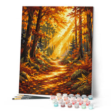 Carica l'immagine nel visualizzatore di Gallery, Dipingere con i numeri - Sentiero nel Bosco con Raggi di Sole