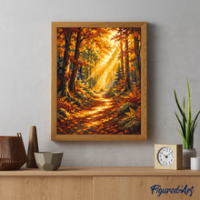 Carica l'immagine nel visualizzatore di Gallery, Dipingere con i numeri - Sentiero nel Bosco con Raggi di Sole