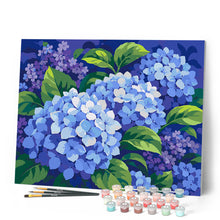 Carica l'immagine nel visualizzatore di Gallery, Dipingere con i numeri - Ortensie Blu 1