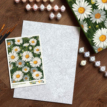 Carica l'immagine nel visualizzatore di Gallery, Kit Regalo per Dipingere con i Numeri - Margherite Bianche