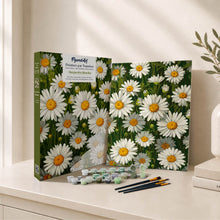 Carica l'immagine nel visualizzatore di Gallery, Kit Regalo per Dipingere con i Numeri - Margherite Bianche