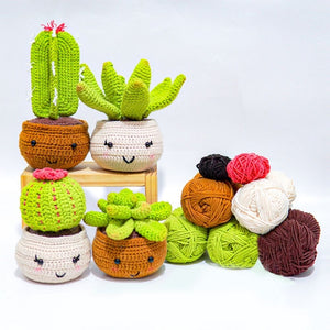 Kit Amigurumi - Cactus in Vaso Figured'Art