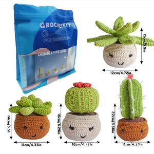 Kit Amigurumi - Cactus in Vaso