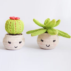Kit Amigurumi - Cactus in Vaso