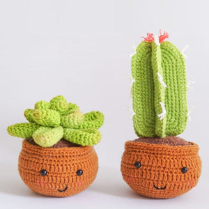 Kit Amigurumi - Cactus in Vaso