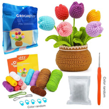 Carica l&#39;immagine nel visualizzatore di Gallery, Kit Amigurumi - Bouquet di Tulipani