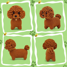 Carica l&#39;immagine nel visualizzatore di Gallery, Kit Amigurumi - Barboncino Marrone