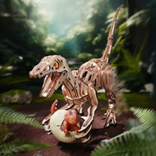 Carica l'immagine nel visualizzatore di Gallery, Puzzle 3D - Velociraptor Figured'Art