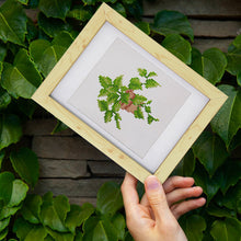 Carica l&#39;immagine nel visualizzatore di Gallery, Mini Set Diamond Painting 15x20cm (4 pezzi) - Gioielli del Giardino: Mini Succulente