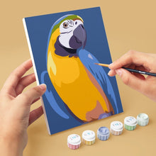 Carica l'immagine nel visualizzatore di Gallery, Mini Set Dipingere con i numeri 15x20cm (6 pezzi) - Piume Tropicali
