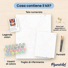 Carica l'immagine nel visualizzatore di Gallery, Dipingere con i numeri - Manifesto Moulin Rouge - La rivista di Mistinguett