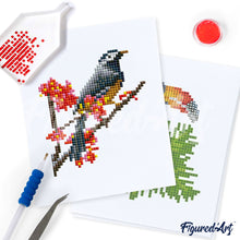 Carica l&#39;immagine nel visualizzatore di Gallery, Mini Set Diamond Painting - Uccelli