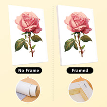 Carica l&#39;immagine nel visualizzatore di Gallery, Mini Set Dipingere con i numeri 15x20cm (6 pezzi) - Stampe Botaniche