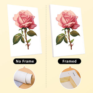 Mini Set Dipingere con i numeri 15x20cm (6 pezzi) - Stampe Botaniche