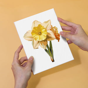Mini Set Dipingere con i numeri 15x20cm (6 pezzi) - Floreale