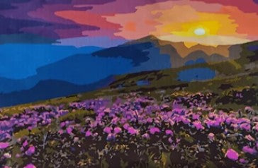 QENSPE Dipingere con i Numeri per Adulti, Kit di Pittura su Tela Fai da