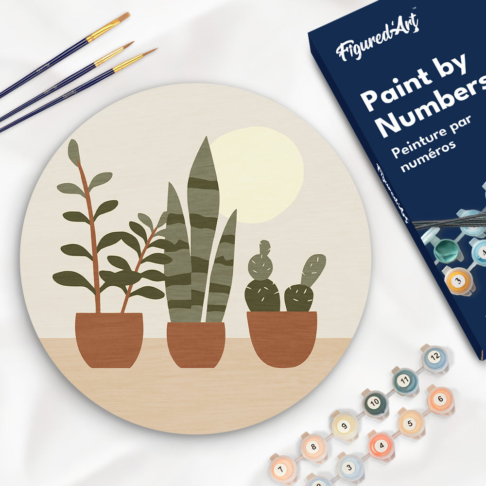 Dipingere con i Numeri su Disco di Legno - Succulente