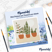 Carica l'immagine nel visualizzatore di Gallery, Mini Kit da Dipingere con i Numeri 20x20cm con cornice Succulente