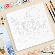 Carica l'immagine nel visualizzatore di Gallery, Mini Kit da Dipingere con i Numeri 20x20cm con cornice Succulente