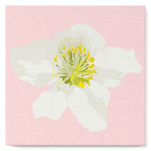 Carica l'immagine nel visualizzatore di Gallery, Mini Kit da Dipingere con i Numeri 20x20cm con cornice Rosa canina