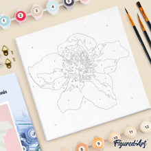 Carica l'immagine nel visualizzatore di Gallery, Mini Kit da Dipingere con i Numeri 20x20cm con cornice Rosa canina