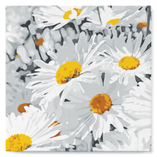 Carica l'immagine nel visualizzatore di Gallery, Mini Kit da Dipingere con i Numeri 20x20cm con cornice Pretty Daisies