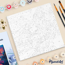 Carica l'immagine nel visualizzatore di Gallery, Mini Kit da Dipingere con i Numeri 20x20cm con cornice - Ibisco al tramonto