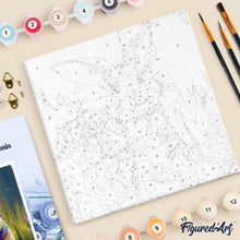 Carica l'immagine nel visualizzatore di Gallery, Mini Kit da Dipingere con i Numeri 20x20cm con cornice - Coniglio e fiori selvatici