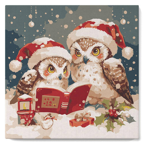 Mini Kit da Dipingere con i Numeri con cornice - Gufi di Babbo Natale che leggono