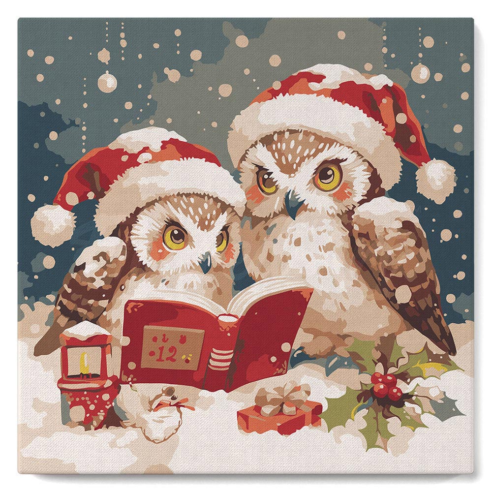 Mini Kit da Dipingere con i Numeri con cornice - Gufi di Babbo Natale che leggono
