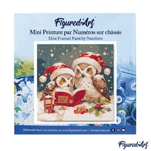 Carica l&#39;immagine nel visualizzatore di Gallery, Mini Kit da Dipingere con i Numeri 20x20cm con cornice - Gufi di Babbo Natale che leggono