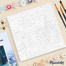 Carica l'immagine nel visualizzatore di Gallery, Mini Kit da Dipingere con i Numeri 20x20cm con cornice - Notte stellata di Natale
