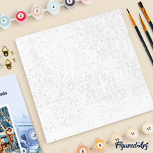 Carica l'immagine nel visualizzatore di Gallery, Mini Kit da Dipingere con i Numeri 20x20cm con cornice - Strada natalizia innevata