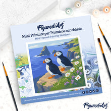 Carica l'immagine nel visualizzatore di Gallery, Mini Kit da Dipingere con i Numeri 20x20cm con cornice - Pulcinella di mare sulle scogliere oceaniche
