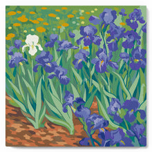 Carica l'immagine nel visualizzatore di Gallery, Mini Kit da Dipingere con i Numeri 20x20cm con cornice - Van Gogh - Iris