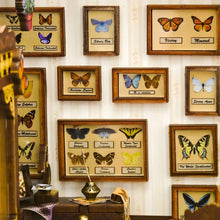 Carica l'immagine nel visualizzatore di Gallery, Book Nook - Casa delle Farfalle