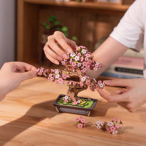 Puzzle 3D - Bonsai di Ciliegio