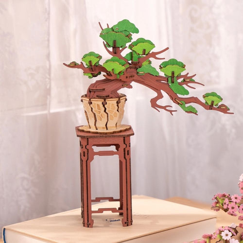 Puzzle 3D - Bonsai Pino Sempreverde