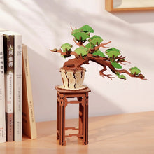 Carica l&#39;immagine nel visualizzatore di Gallery, Puzzle 3D - Bonsai Pino Sempreverde